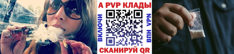 A-PVP СК Шуя