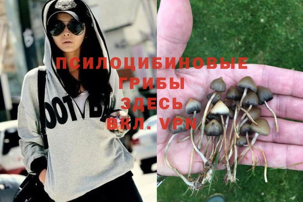 скорость mdpv Алексеевка