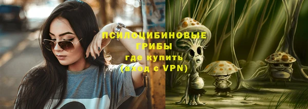 ешки Алексин